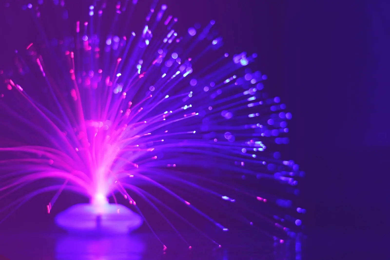 Fibras ópticas luminosas en tonos violeta y rosa que se abren desde una base